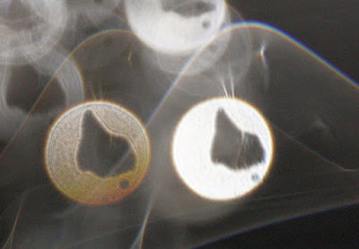 orb veils and orbs with holes