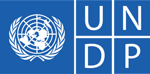 Opportunity at UNDP Tanzania - Women Leadership and Empowerment Programme 2021