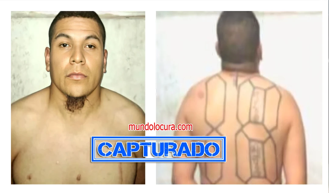 alias "cuche"