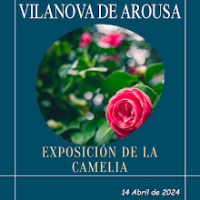 Exposición Camelias Vilanova de Arousa