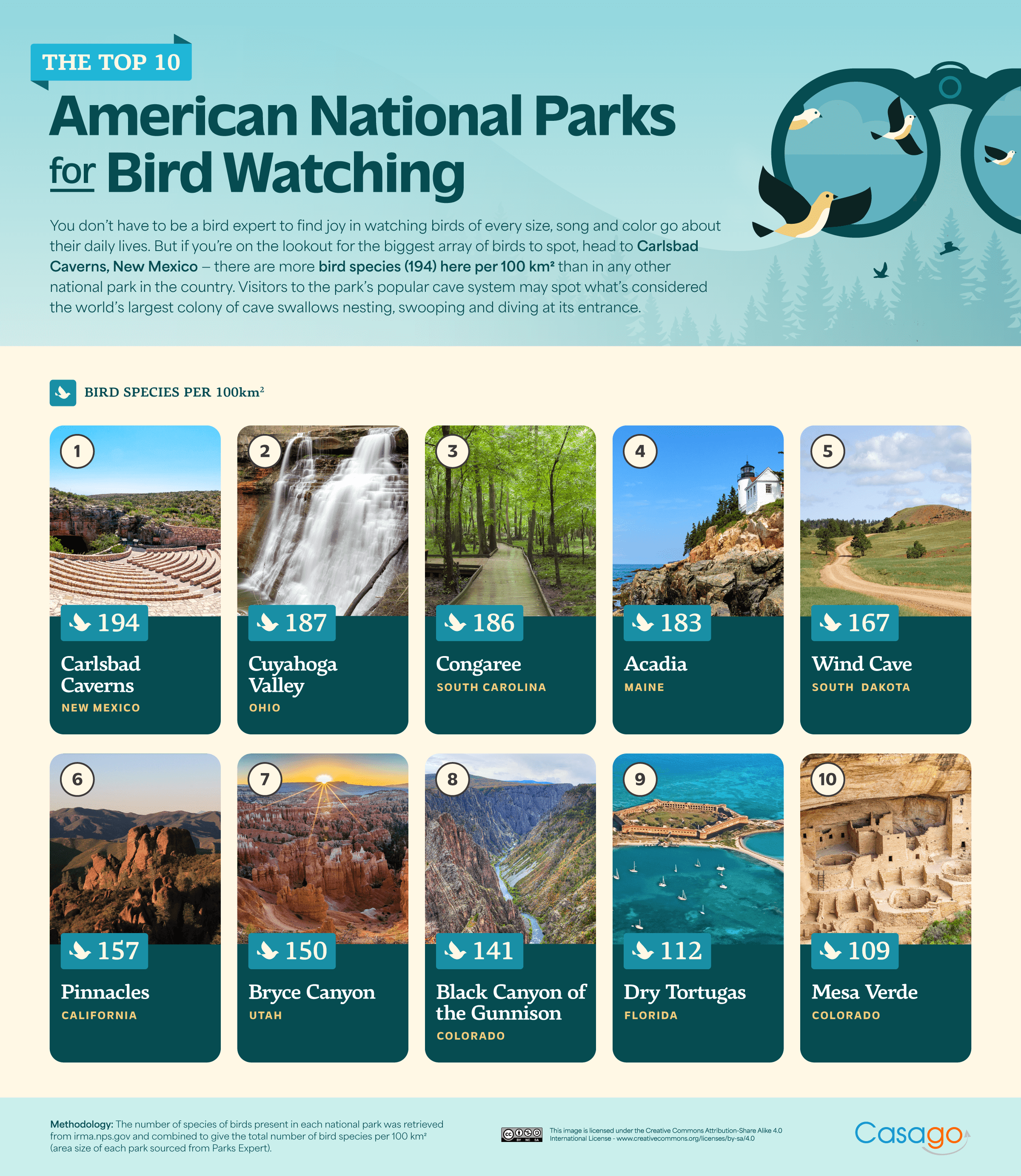 The Top 10 American National Parks for Bird Watching