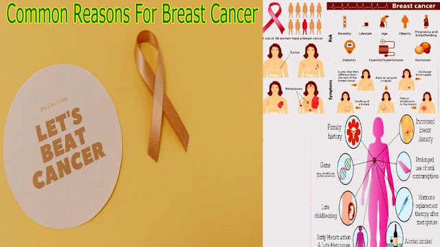 Common Reasons For Breast Cancer