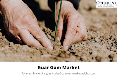 Guar Gum Market To Experience Scalable Growth Heights By 2027