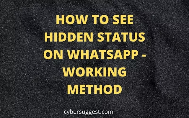 See Hidden WhatsApp Status or if you’re Blocked