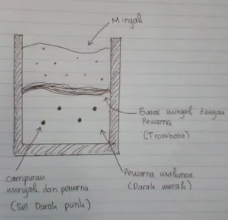 2. Gambarlah lapisan yang terbentuk dalam tabung reaksi tersebut!