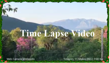 Time Lapse Video