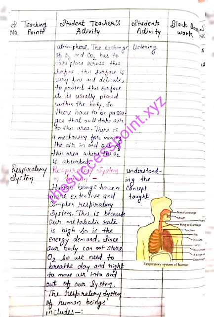 Biological Science Lesson Plan | Respiratory System