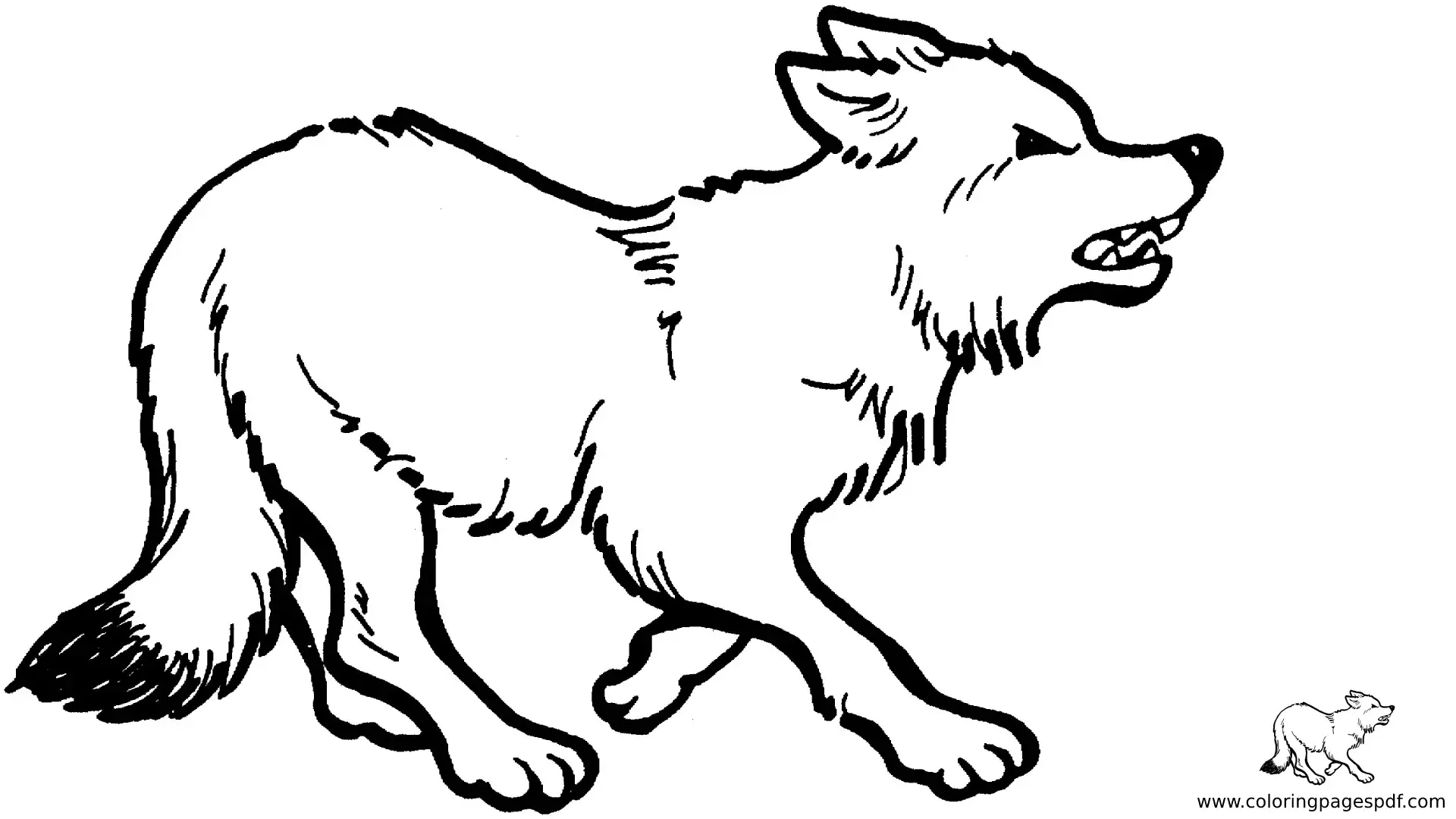 Coloring Pages Of A Cute Mad Wolf