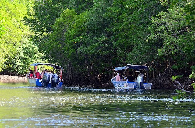 Tanjung Rhu Mangrove Tours