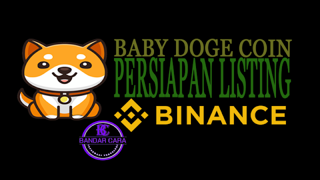 BandarCara-baby-doge-coin-persiapan-listing-binance.png