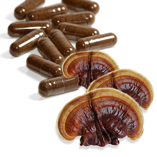 MycoNutra® ganoderma mushroom capsules.