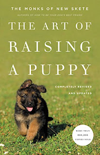 Train Your Dog Like A Pro With These Top-Rated Dog Training Books
