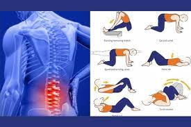 What is the most effective exercise for reducing lower back pain?