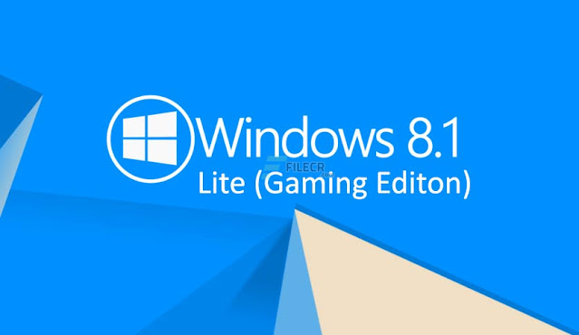 Windows 8.1 Pro LITE 9600.20069