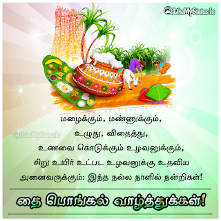Pongal Wishes Tamil