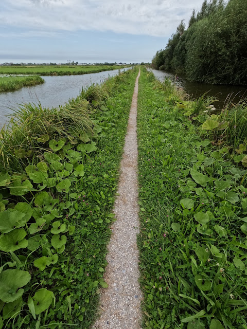 Dijkje tussen Goude en Waddinxveen