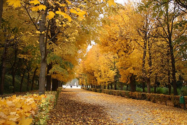 Schonbrunn gardens in autumn, Vienna, Austria