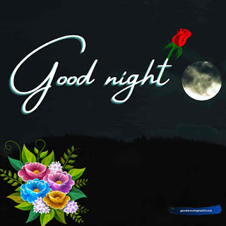 love romantic love good night images