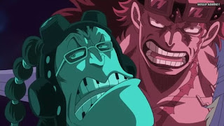 ワンピースアニメ WCI編 798話 ユースタスキッド アプー | ONE PIECE Episode 798