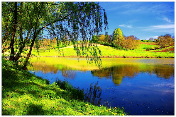 Фото лета в России / Photo of summer in Russia