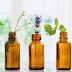 10 OF THE BEST ESSENTIAL OILS TO FIGHT STRESS