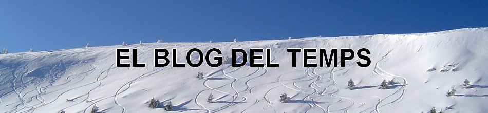 EL BLOG DEL TEMPS