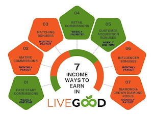 7 Ways to Earn Income