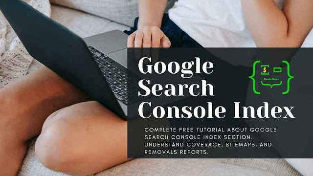 Google Search Console Index