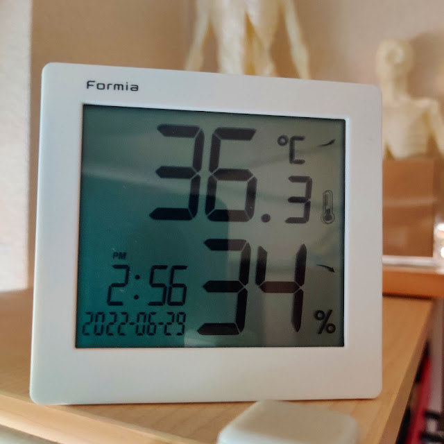 温度計の写真