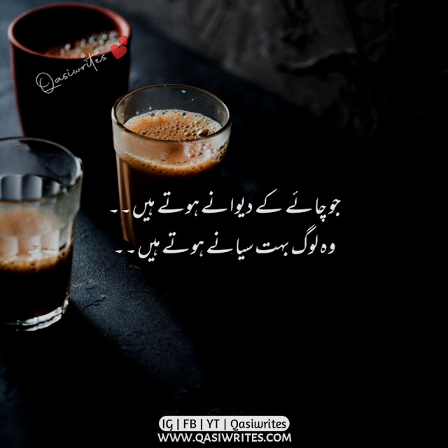 Best Chai Poetry in Urdu 2 Lines | Tea Poetry | Chai Shayari | Qasiwrites