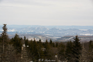 Looking east from Bear Rocks