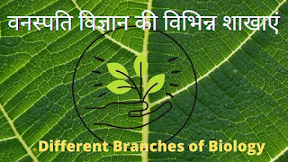 वनस्पति विज्ञान की प्रमुख शाखाएं। Major Branches of Botany in Hindi ।