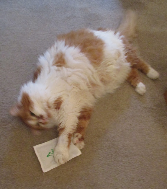 Cat nip package