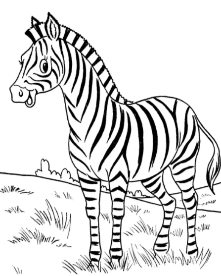 smiling african zebra coloring page