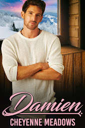 Damien, Misfit Shifters Book 4