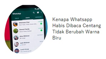 Kenapa Whatsapp Habis Dibaca Centang Tidak Berubah Warna Biru