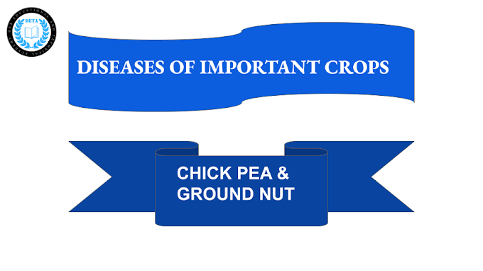 DISEASES OF IMPORTANT CROPS - CHICK PEA & GROUND NUT