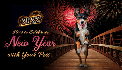 How To Celebrate New Year With Your Pets | Pet Supplies | DiscountPetCare