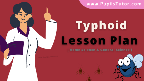 Typhoid Lesson Plan For B.Ed, DE.L.ED, M.Ed 1st 2nd Year And Class 8th , 9th And 10th Home Science Teacher Free Download PDF On Discussion Skill In English Medium. - www.pupilstutor.com