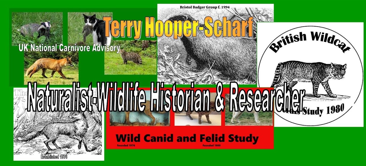 Terry Hooper Naturalist-Wildlife Research