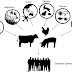  Zoonotic Importance of Nematodes