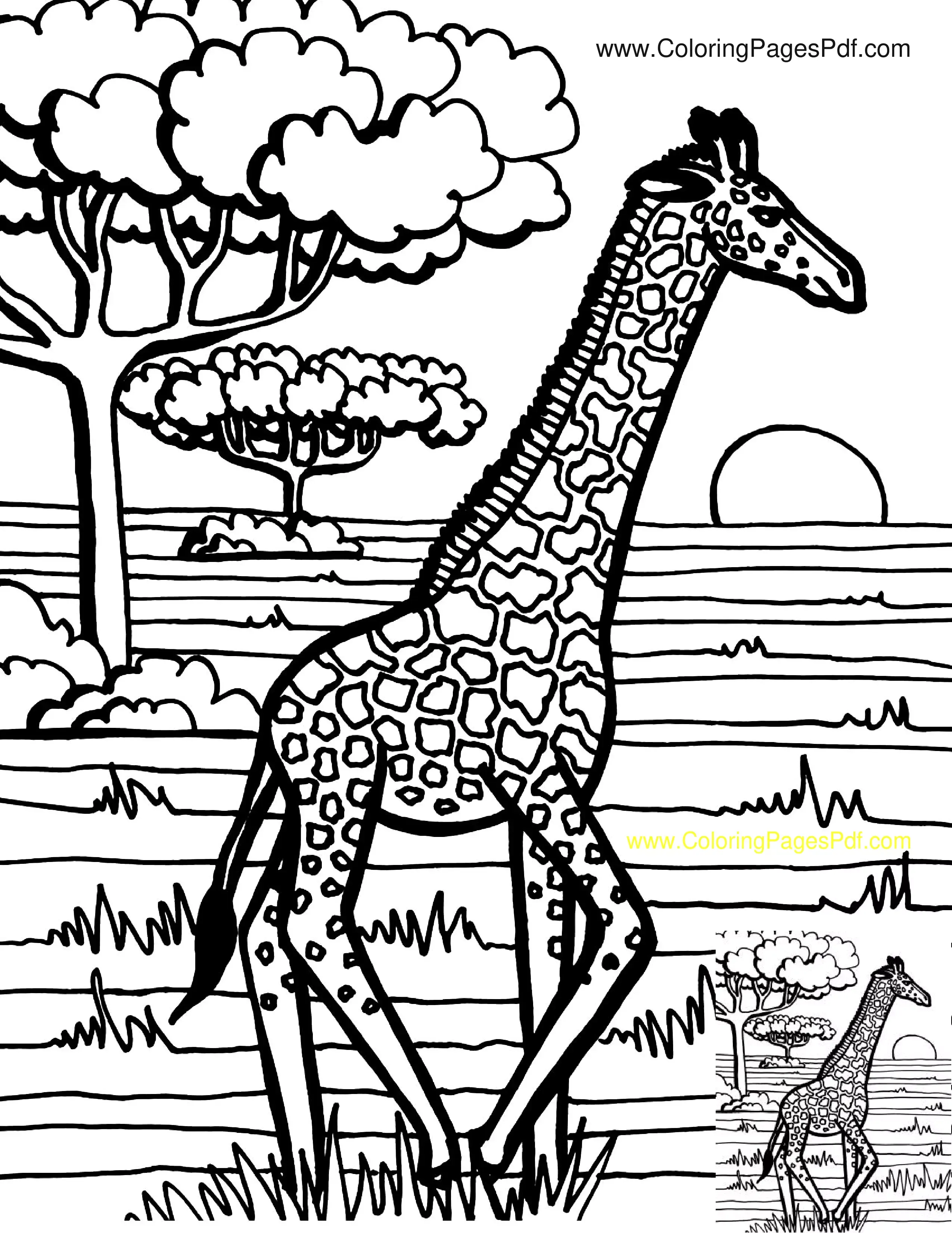 Giraffe coloring pages printable