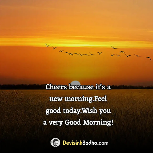 good morning captions in english for instagram, good morning captions instagram, short good morning captions for instagram, funny morning captions for instagram, morning nature captions for instagram, morning walk captions for instagram, morning captions for selfie, good morning captions instagram, good day captions for instagram, good morning bio instagram, morning walk captions for instagram, good morning story for instagram