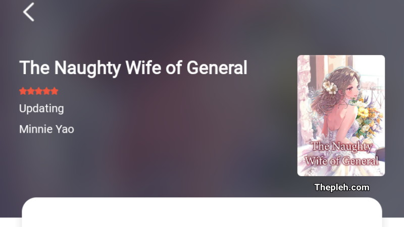 Novel The Naughty Wife of General