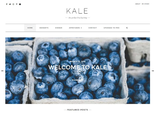 Best Free Wordpress Themes for Food Blogs