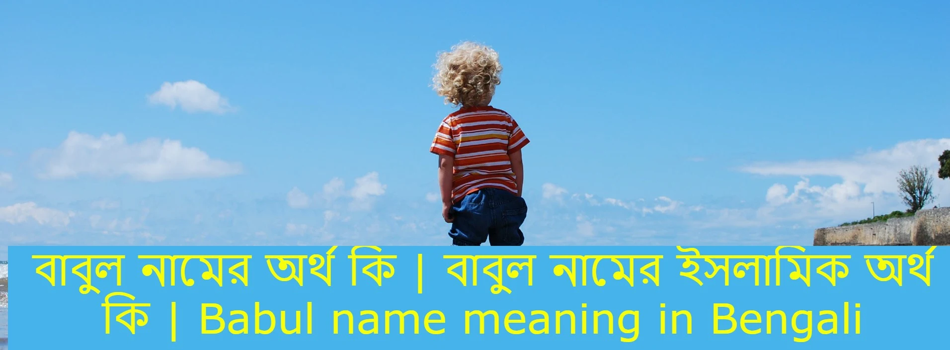বাবুল নামের অর্থ কি , বাবুল নামের বাংলা অর্থ কি , বাবুল নামের আরবি অর্থ কি , বাবুল নামের ইসলামিক অর্থ কি , Babul name meaning in bengali arabic and islamic , Babul namer ortho ki , Babul name meaning ,বাবুল কি আরবি / ইসলামিক নাম