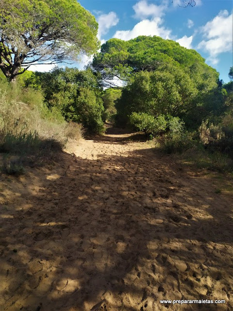 ruta por el Parque de la Breña provincia Cádiz