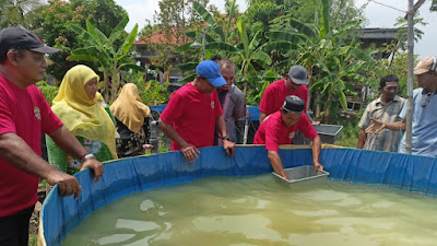 Dinas Perikanan Kabupaten Pasuruan Tergerak Sosialisasi Pembudidayaan Ikan Lele di Kepulungan