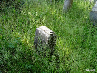 cimetière-jeanne-illustres-habitants-jpg