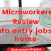 Microworkers Data Entry Jobs At Home 2022 [Review]
